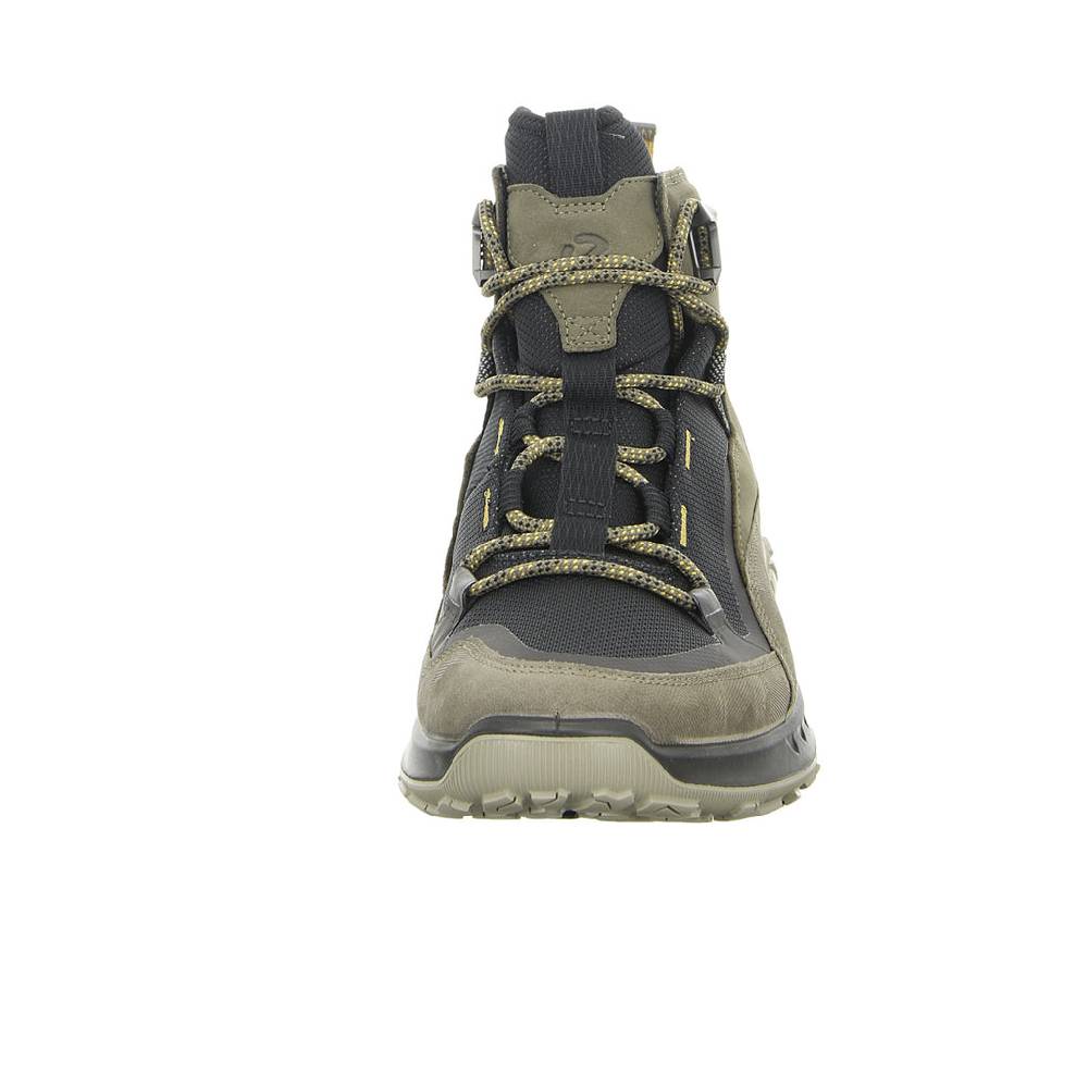ecco Allwetterstiefel Kaltfutter mit Funktionsmembran (wasserabweisend/wasserdicht) Online Shopping