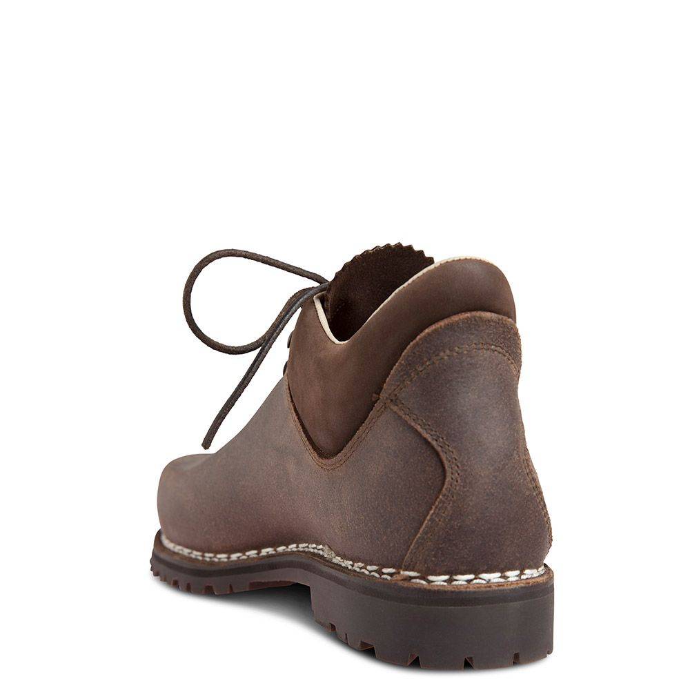 Original Haferl Gambrinus | braun Bis zu 65% Rabatt