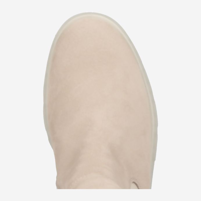 Paul Green 9003-029 Online