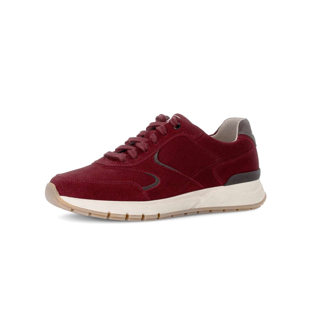 Pius Gabor Pius Gabor Sneaker low rot Angebote