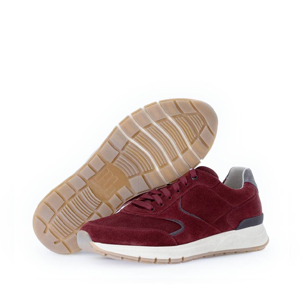 Pius Gabor Pius Gabor Sneaker low rot Angebote