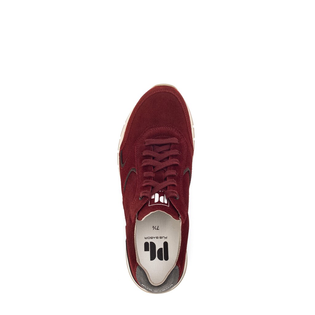 Pius Gabor Pius Gabor Sneaker low rot Angebote
