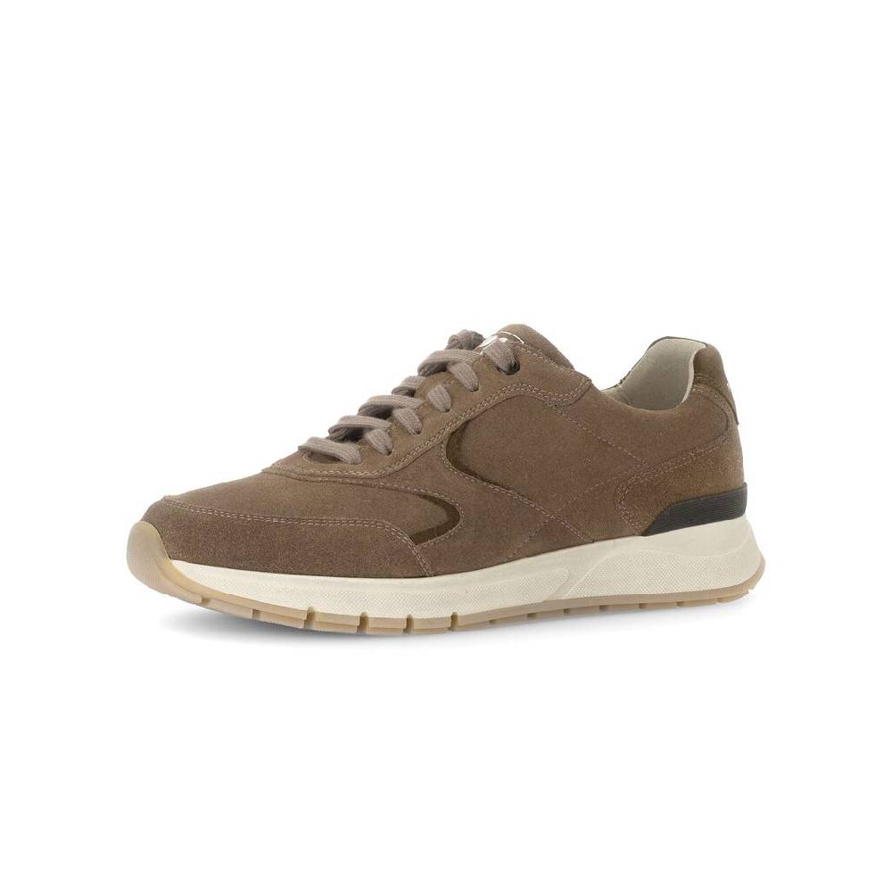 Pius Gabor Pius Gabor Sneaker low beige Schlussverkauf