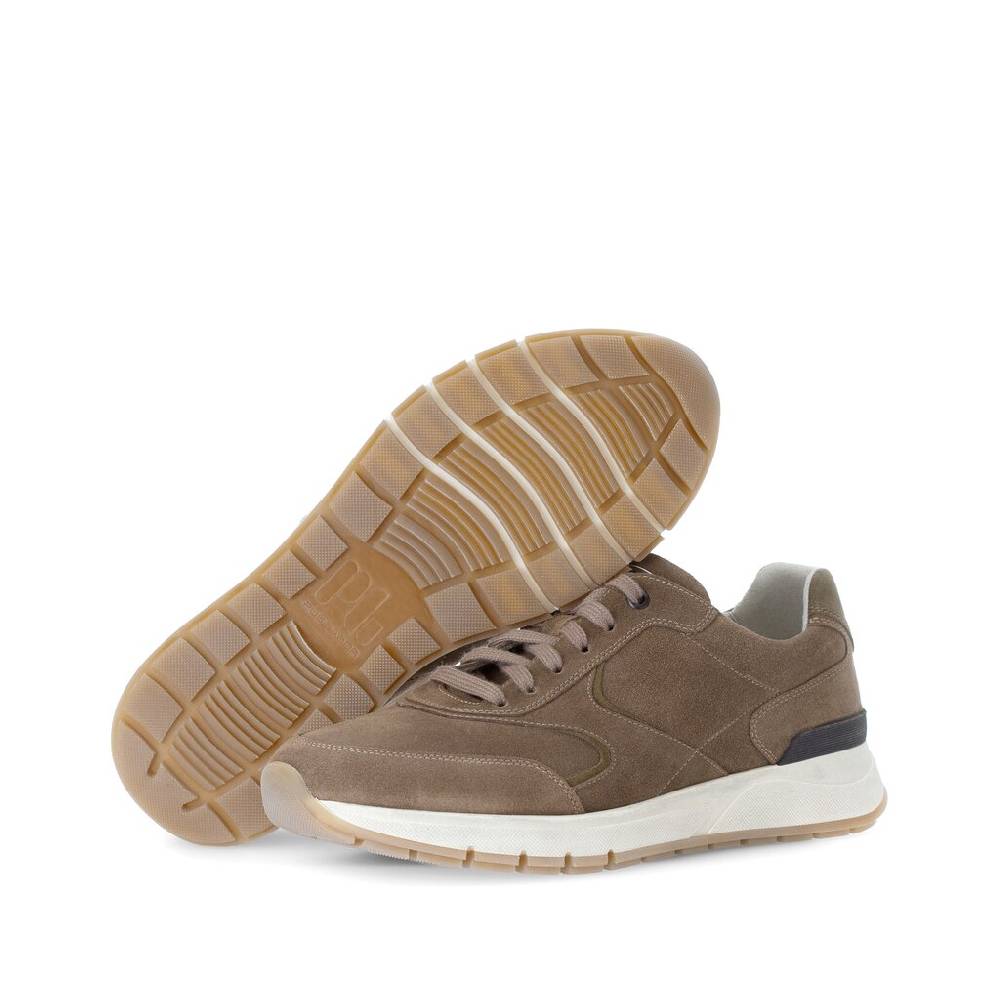 Pius Gabor Pius Gabor Sneaker low beige Schlussverkauf