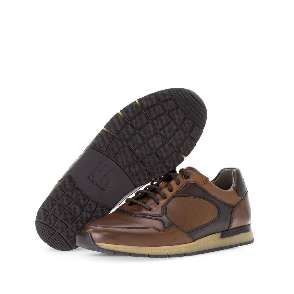 Pius Gabor Pius Gabor Sneaker low braun Black Friday Preise