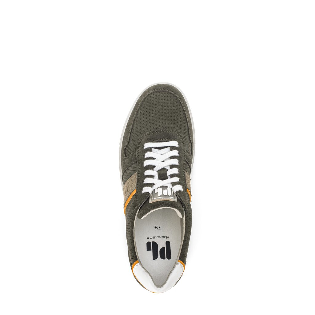 Pius Gabor Pius Gabor Sneaker low grün Räumungsverkauf