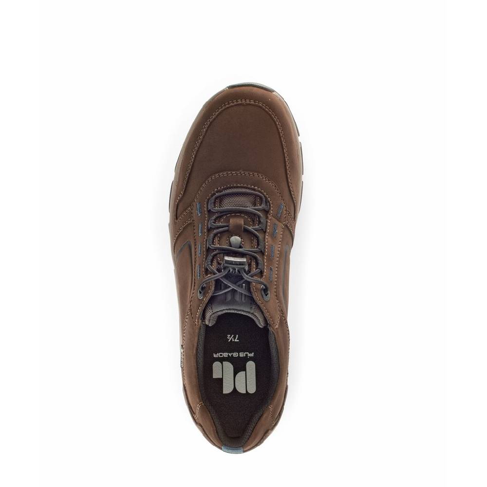 Pius Gabor Pius Gabor Sneaker low braun Flash Sale