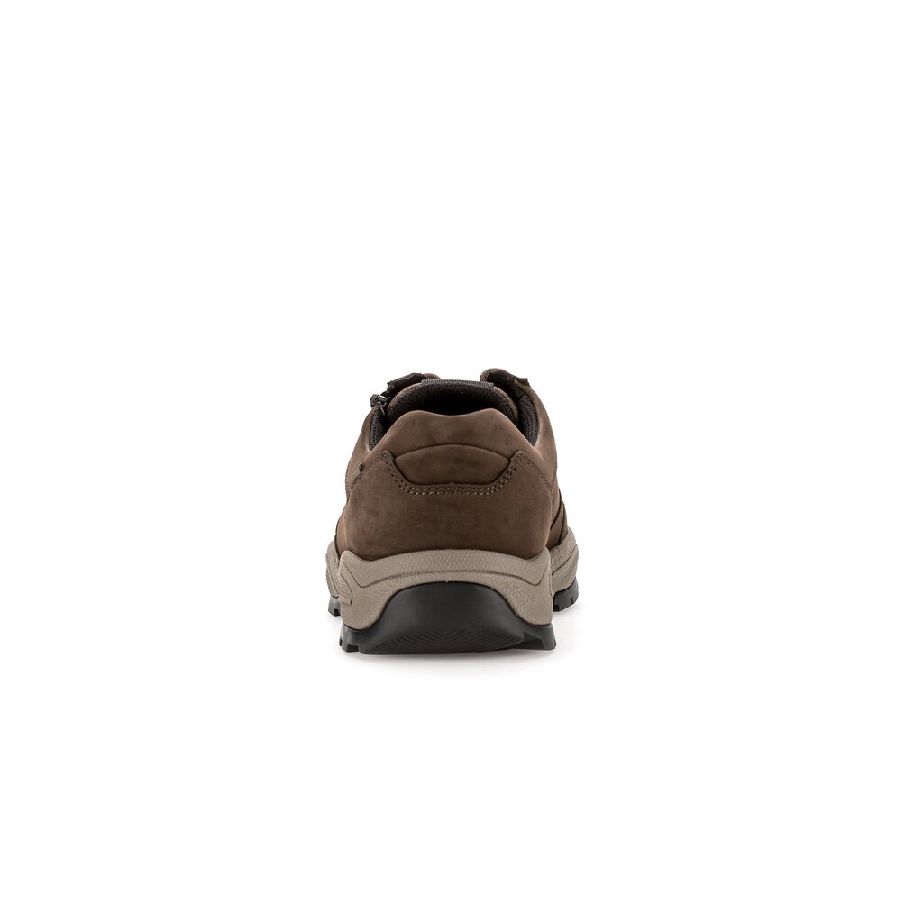Pius Gabor Pius Gabor Sneaker low braun Online Shopping