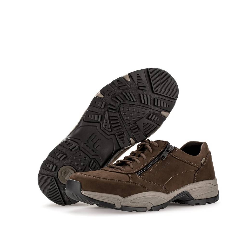 Pius Gabor Pius Gabor Sneaker low braun Online Shopping