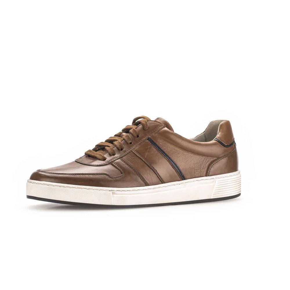 Pius Gabor Pius Gabor Sneaker low braun Online Outlet