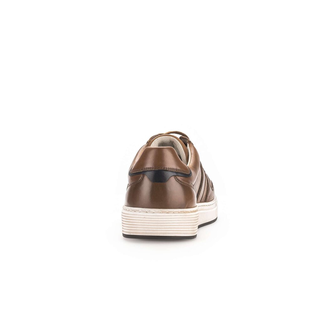Pius Gabor Pius Gabor Sneaker low braun Online Outlet