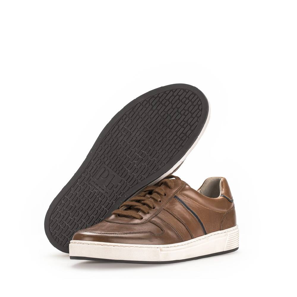 Pius Gabor Pius Gabor Sneaker low braun Online Outlet