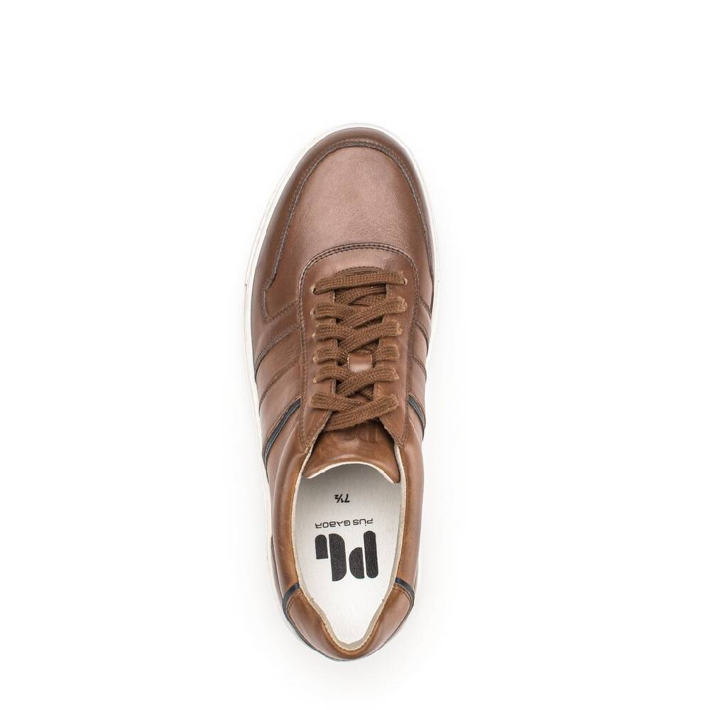 Pius Gabor Pius Gabor Sneaker low braun Online Outlet