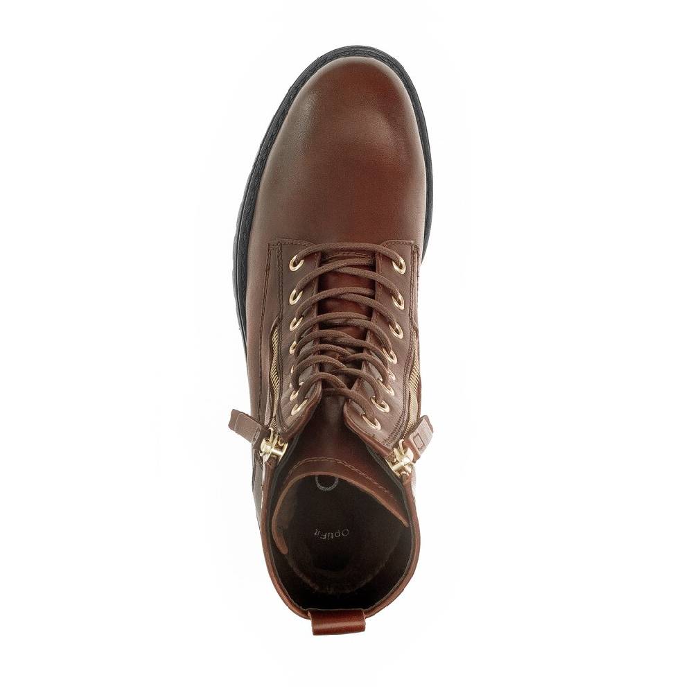 Pius Gabor Schnürstiefelette braun Clearance-Verkauf