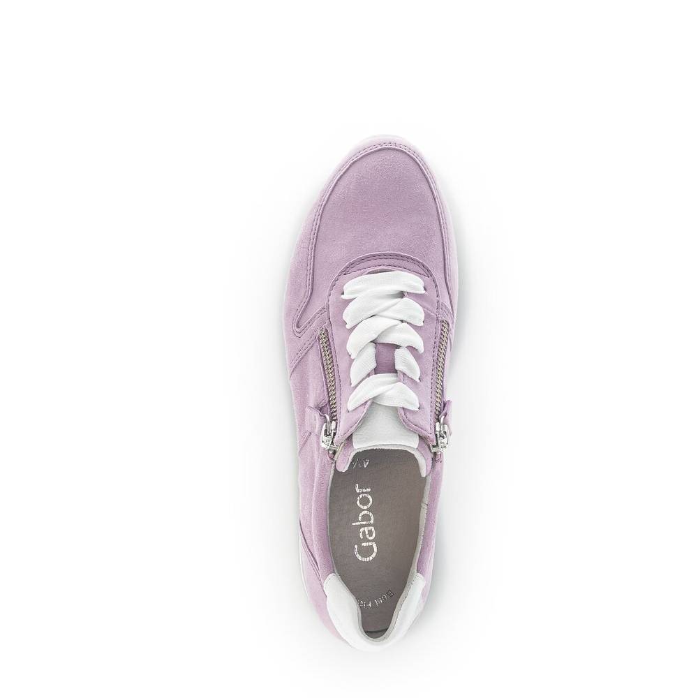 Pius Gabor Sneaker low lila im Angebot