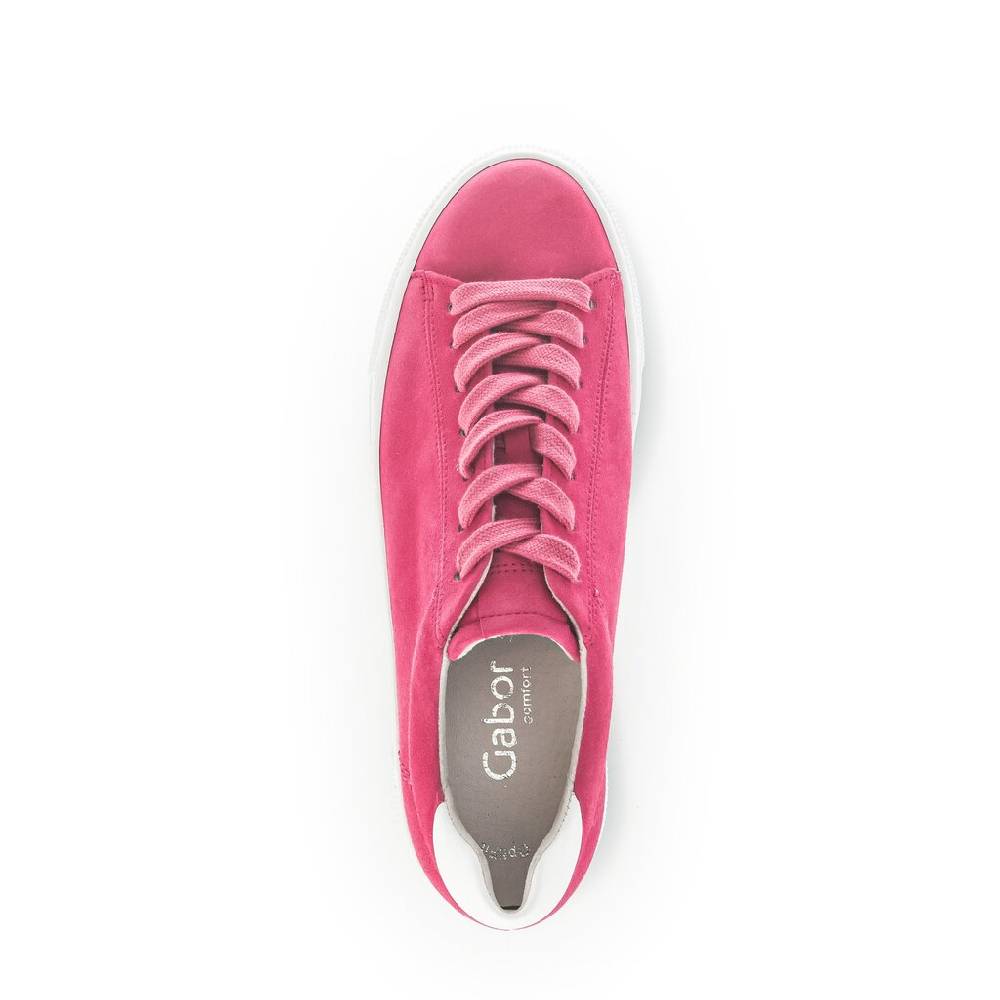Pius Gabor Sneaker low pink Meist gekauft