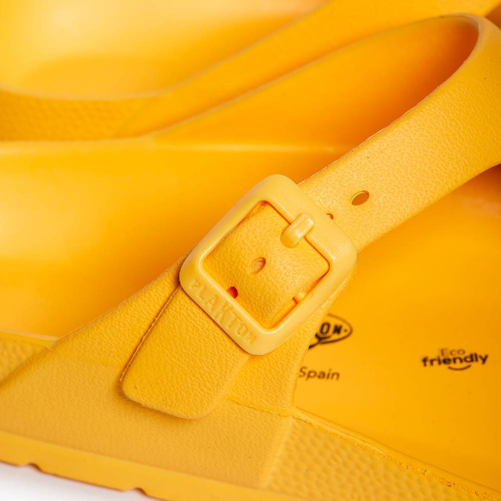 Plakton Wendy Mango Angebote