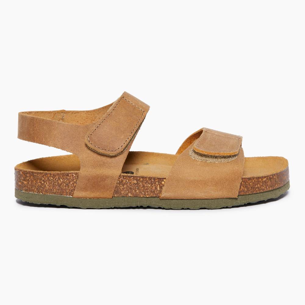 Plakton Partner Beige Apure Online Shopping
