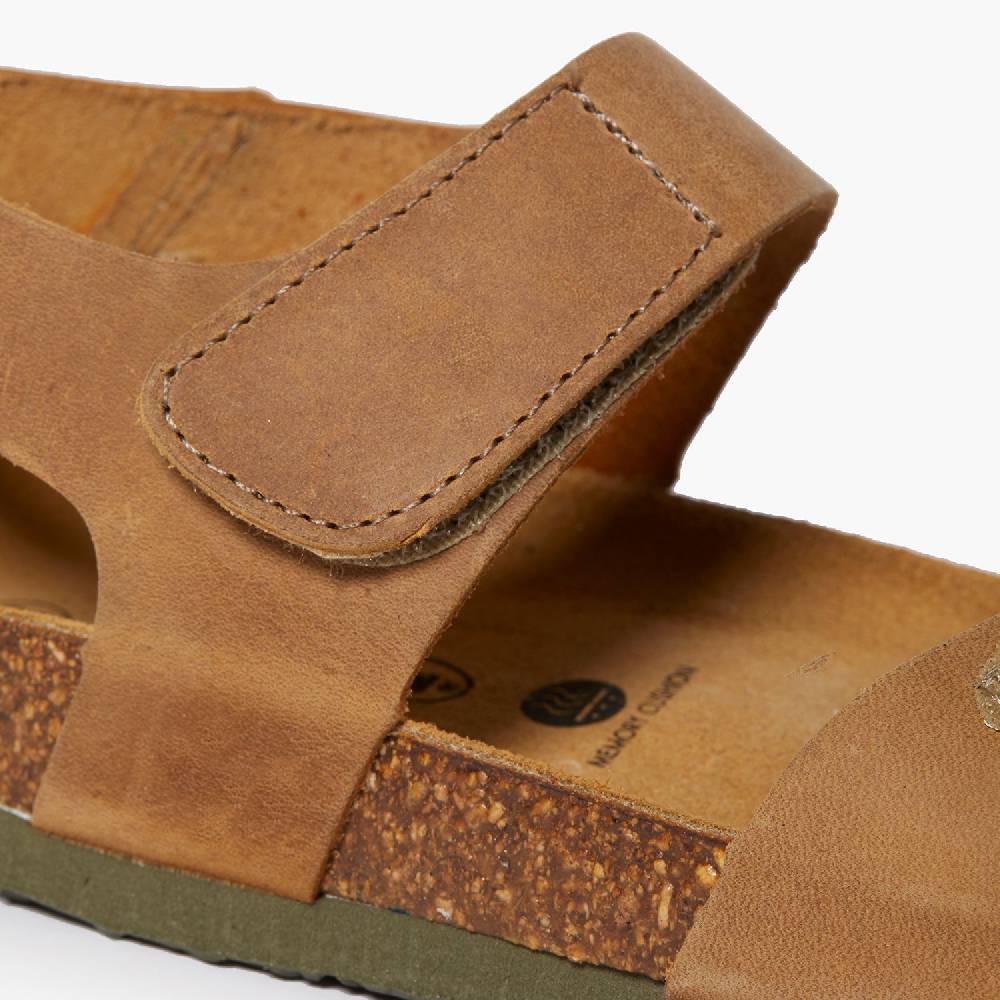 Plakton Partner Beige Apure Online Shopping