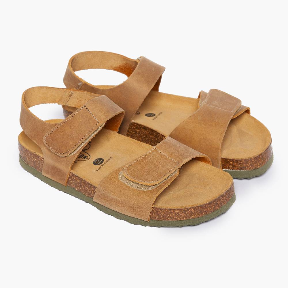 Plakton Partner Beige Apure Online Shopping