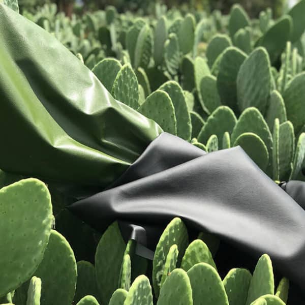 Pololo Veganer Kaktus Sneaker Schwarz Zeitbegrenzte Promotion