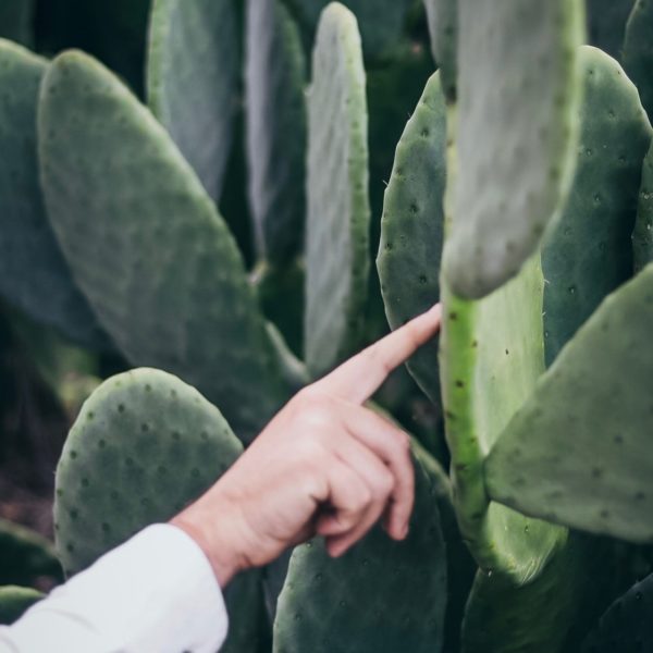 Pololo Sandale Verano hellgrün vegan Flash Sale