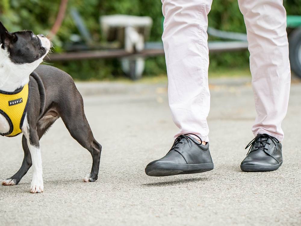 Sole Runner Pflegehinweise für SOLE RUNNER® Barfußschuhe Online Shopping